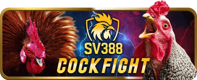Cơ hội chiến thắng tăng cao