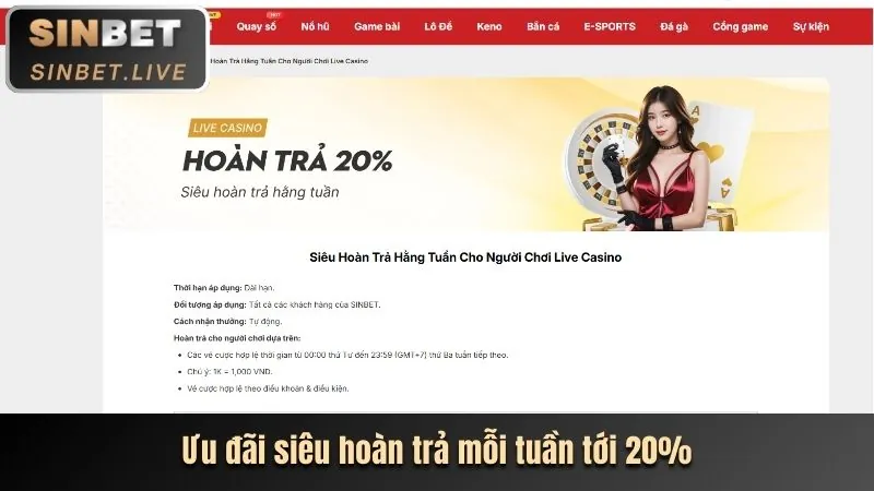 Đặc Quyền VIP Độc Quyền